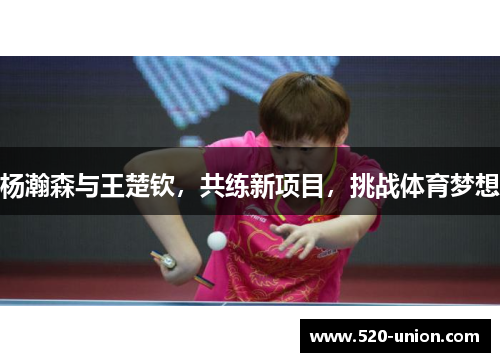 杨瀚森与王楚钦，共练新项目，挑战体育梦想